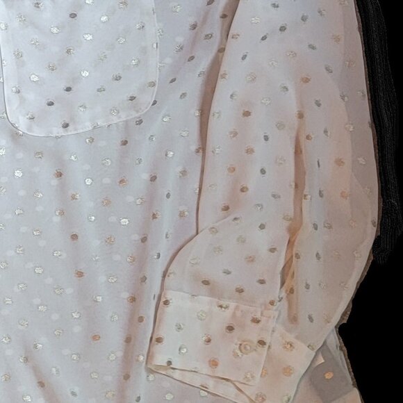 Sheer Button Front Blouse, Beach Cover, Evening Wear - Picture 6 of 6